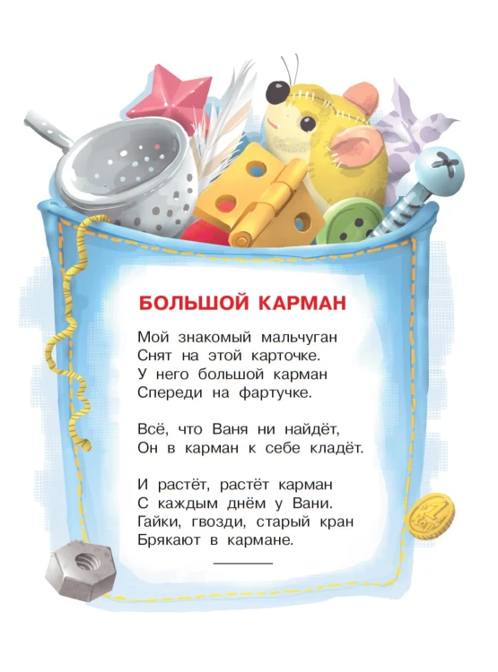 Большой карман
