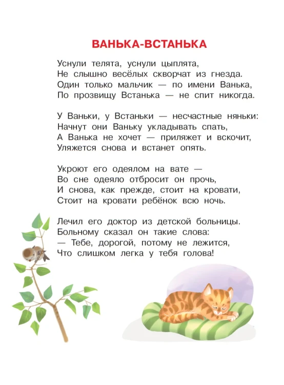 Большой карман