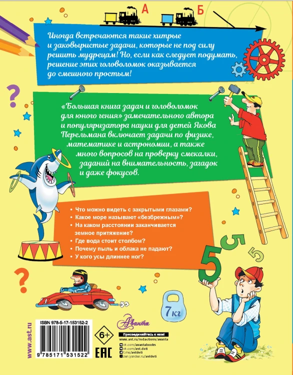 Большая книга задач и головоломок для юного гения