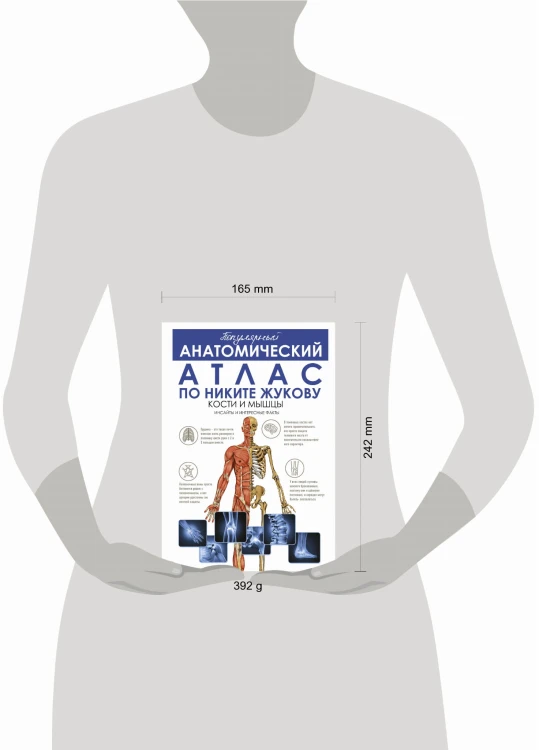Популярный анатомический атлас по Никите Жукову: кости и мышцы. Инсайты и интересные факты