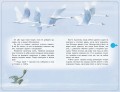 Гадкий утенок (+ музыка А. Вивальди)