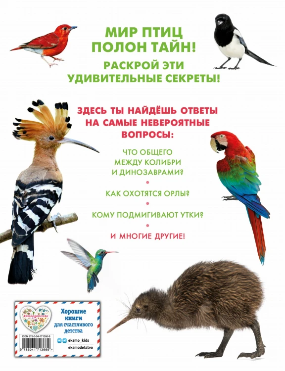 Птицы