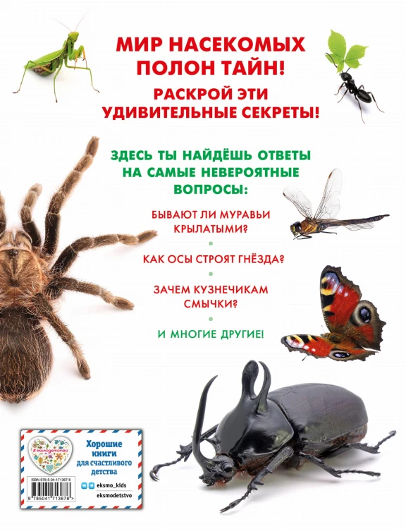 Насекомые