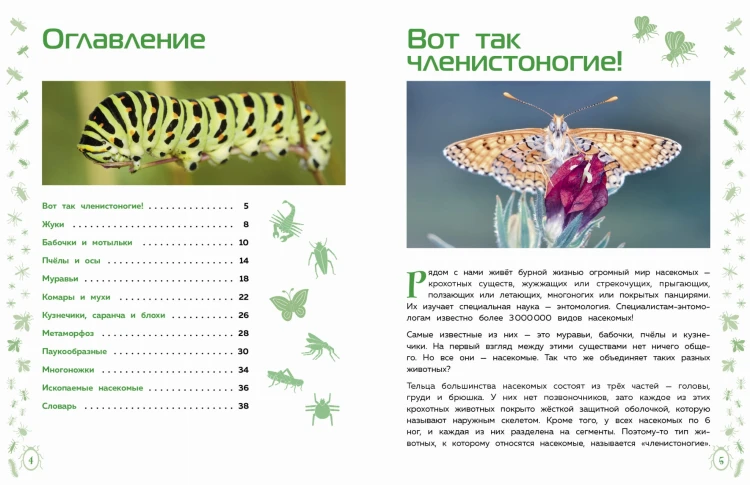 Насекомые