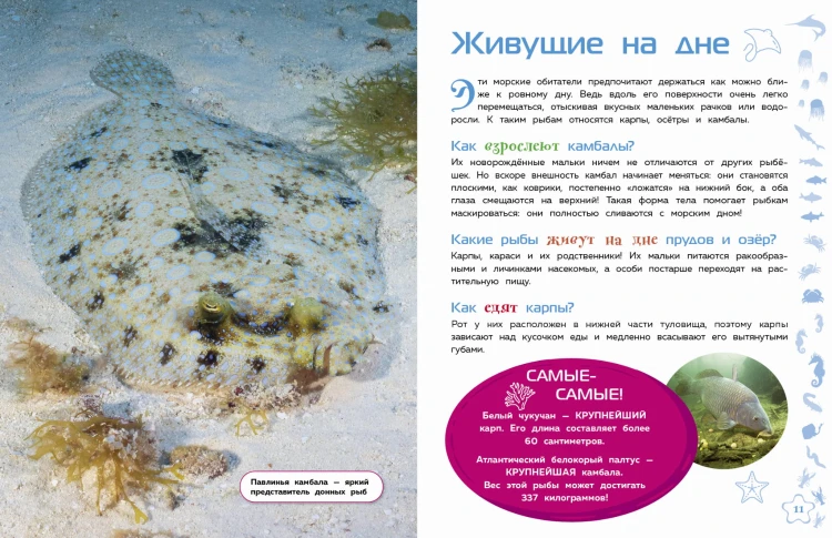 Морские животные