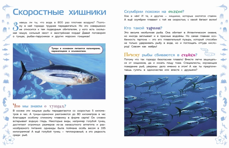 Морские животные