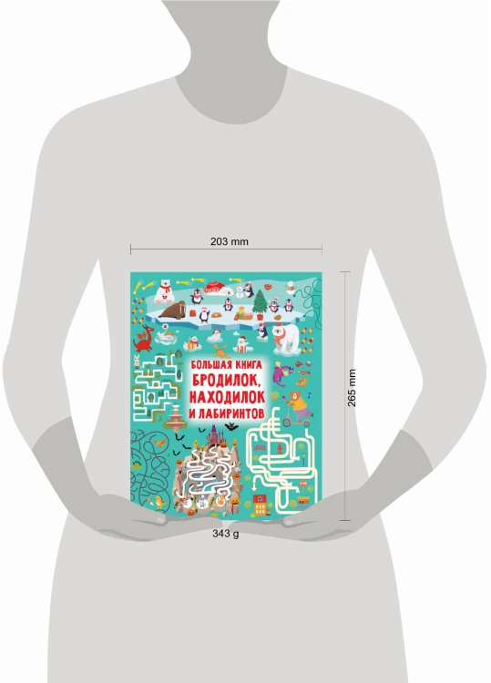 Большая книга бродилок, находилок и лабиринтов