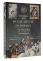 Реалистичные подвижные игрушки своими руками
