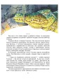 волшебник3.jpg