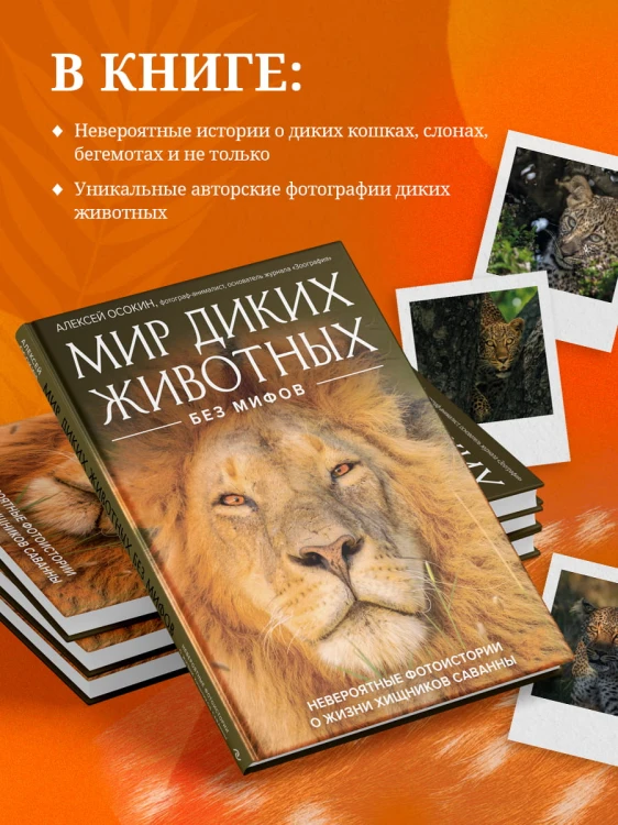Мир диких животных без мифов. Невероятные фото-истории о жизни хищников саванны