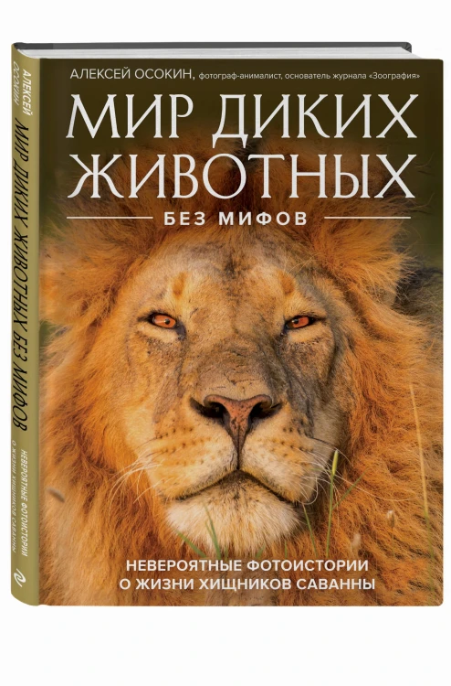 Мир диких животных без мифов. Невероятные фото-истории о жизни хищников саванны