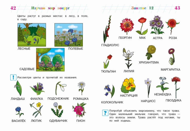 Изучаю мир вокруг: для детей 5-6 лет (новое оформление)