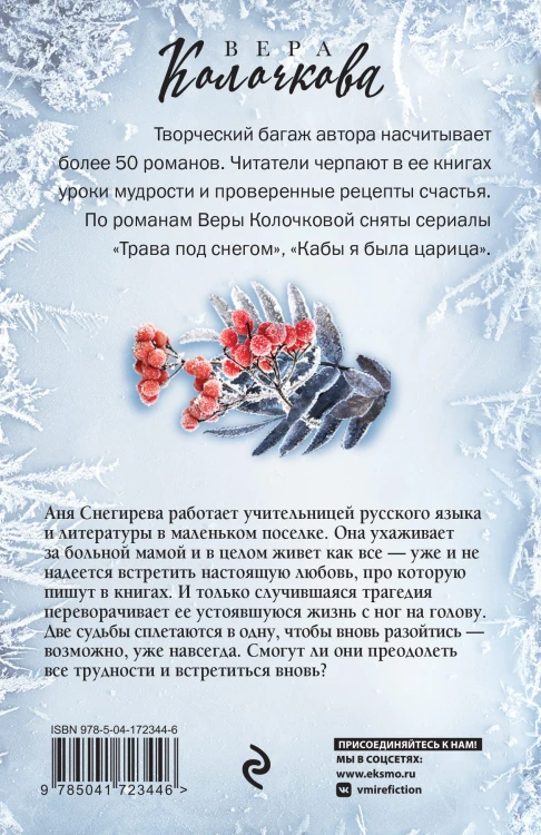 Зимняя рябина