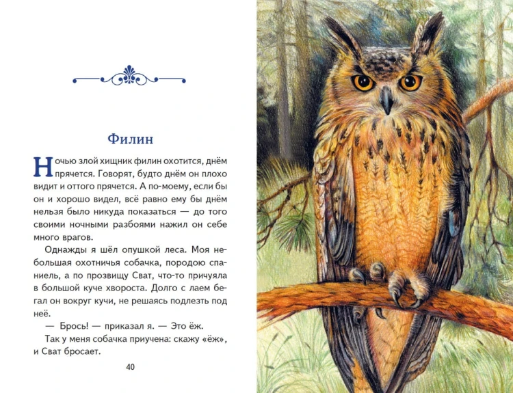 Рассказы о зверятах (ил. В. и М. Белоусовых)