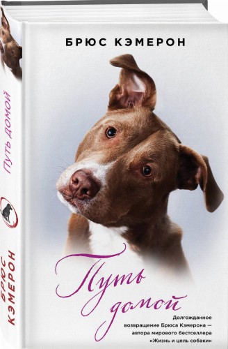 Путь домой (книга в полусупере)