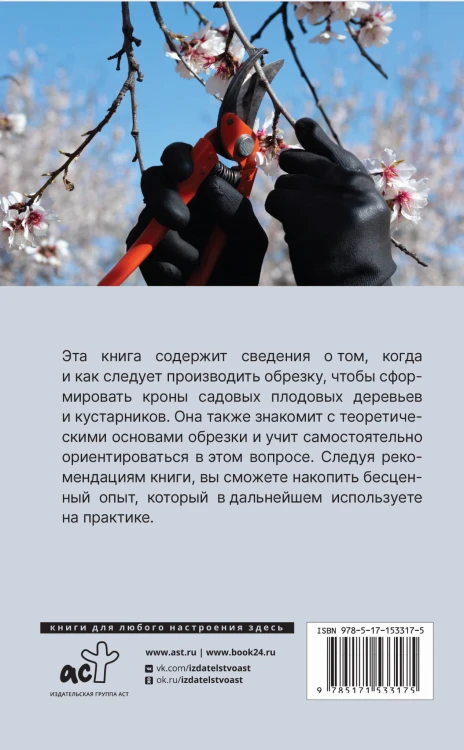 Обрезка плодовых деревьев, кустарников. Правила и советы для начинающих
