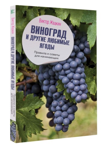 Виноград и другие любимые ягоды. Правила и советы для начинающих