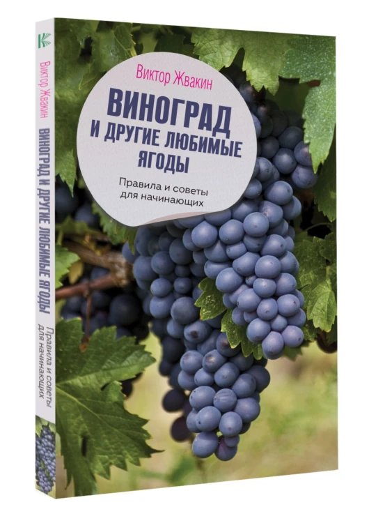 Виноград и другие любимые ягоды. Правила и советы для начинающих