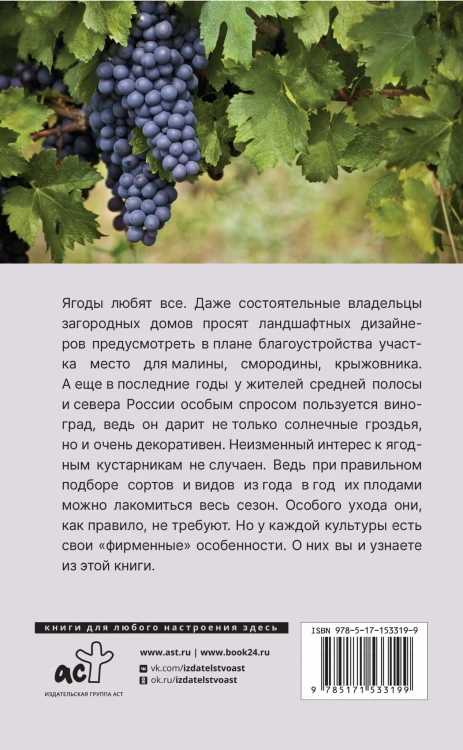 Виноград и другие любимые ягоды. Правила и советы для начинающих