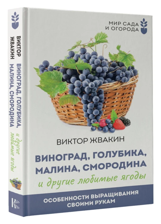 Виноград, голубика, малина, смородина и другие любимые ягоды. Особенности выращивания своими руками