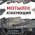 Мотылек атакующий