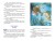 Приключения Васи Куролесова (ил. В. Чижикова)
