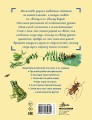 Сколько глаз у стрекозы?