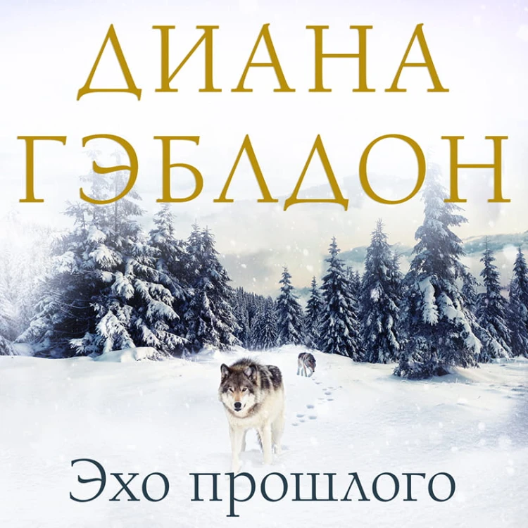Эхо прошлого