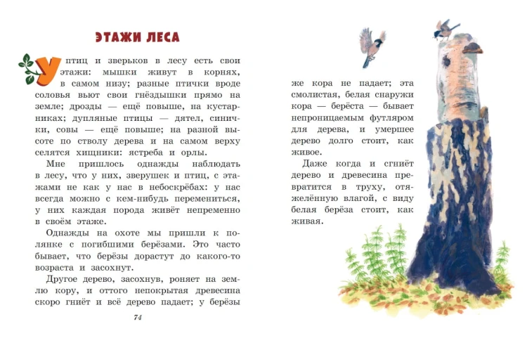 Лисичкин хлеб. Рассказы о животных (ил. С. Ярового)