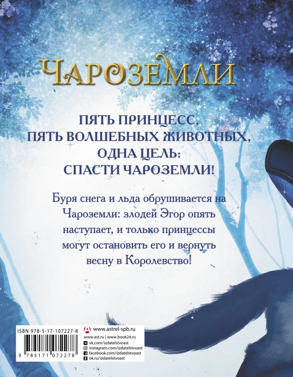 Чароземли. Тайна принцесс