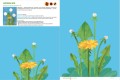 Жужа. Большой альбом для совместного творчества с малышом 1+