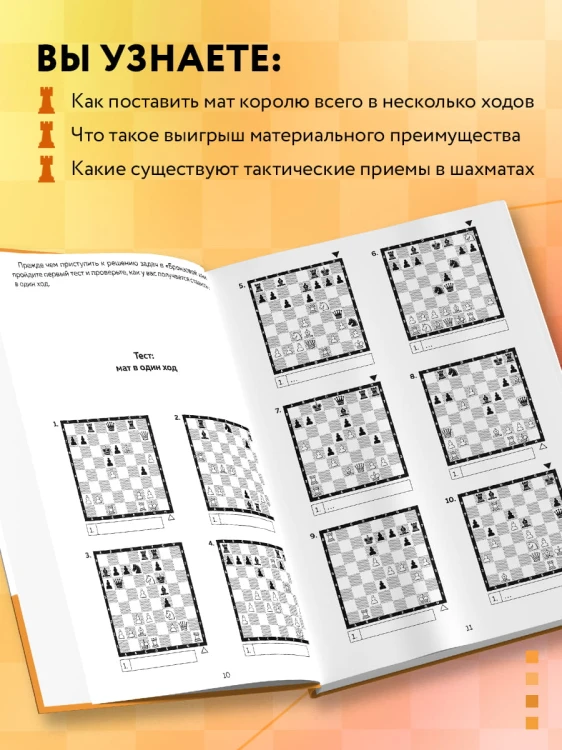 Шахматы. Задачи на мат в 2 хода. Более 500 задач