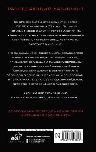Разрезающий лабиринт