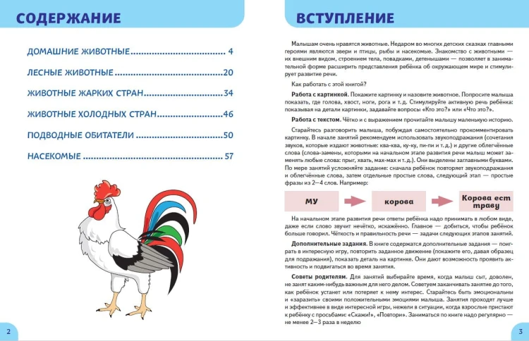 Животные. Первые занятия для малышей
