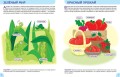 Окружающий мир. Первые занятия для малышей