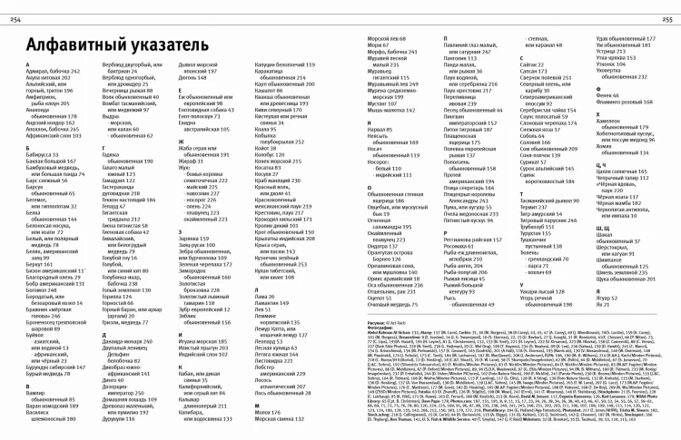 Животные. Все обитатели нашей планеты