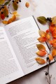 Причеши меня. Твой текст. Редактура художественной прозы: от стиля до сюжета