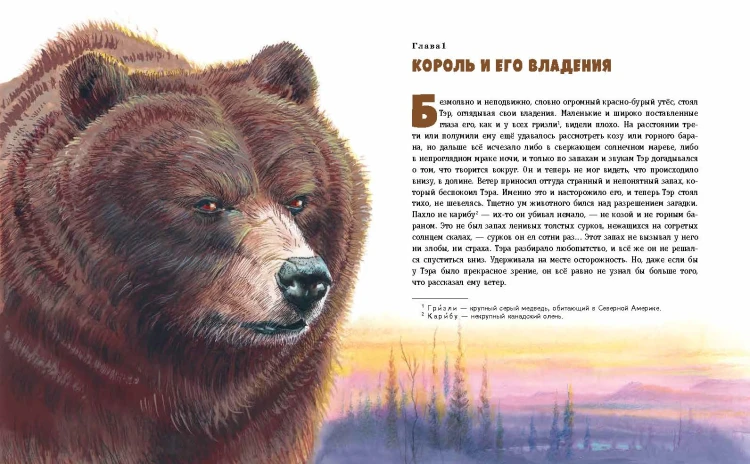 Гризли (ил. В. Канивца)