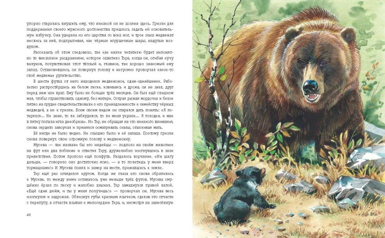 Гризли (ил. В. Канивца)
