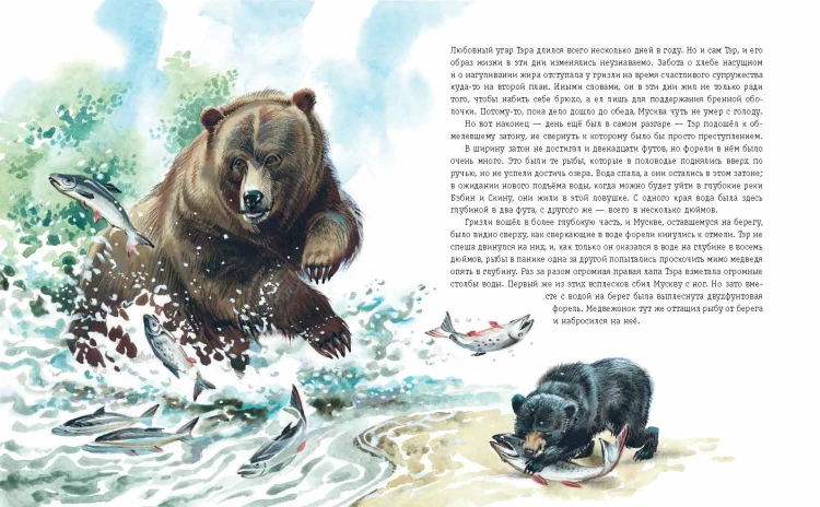Гризли (ил. В. Канивца)