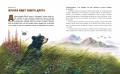 Гризли (ил. В. Канивца)
