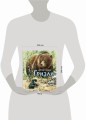 Гризли (ил. В. Канивца)