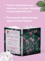 Розы в саду. Практический курс начинающего розовода