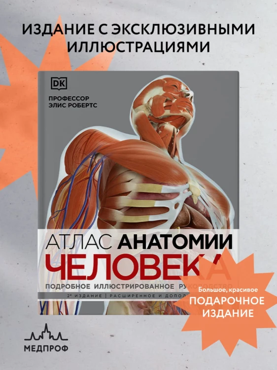 Атлас анатомии человека( DK). Подробное иллюстрированное руководство
