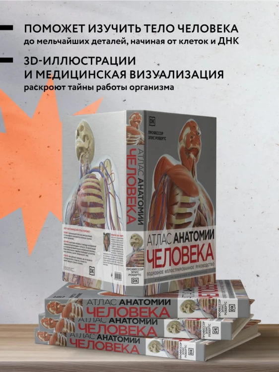 Атлас анатомии человека( DK). Подробное иллюстрированное руководство