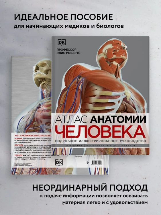 Атлас анатомии человека( DK). Подробное иллюстрированное руководство