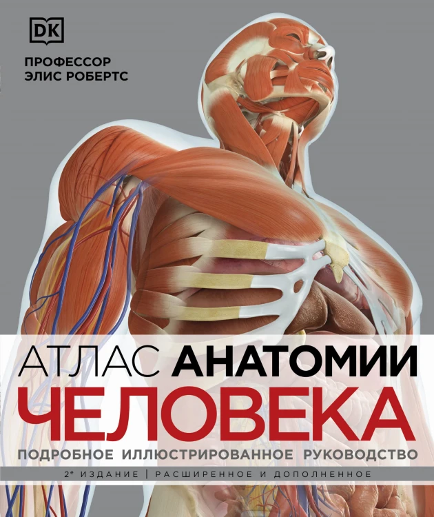 Атлас анатомии человека( DK). Подробное иллюстрированное руководство