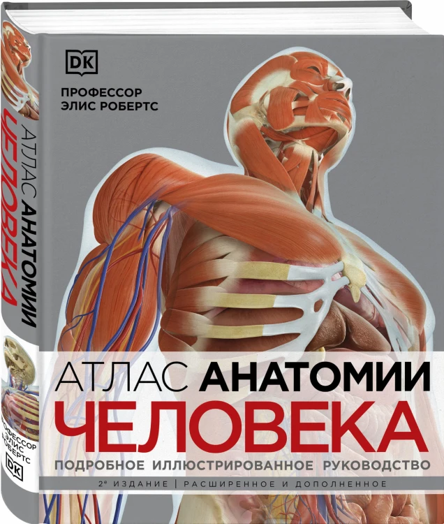 Атлас анатомии человека( DK). Подробное иллюстрированное руководство