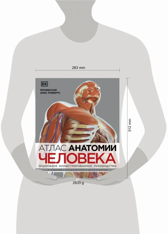 Атлас анатомии человека( DK). Подробное иллюстрированное руководство