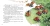 2.webp